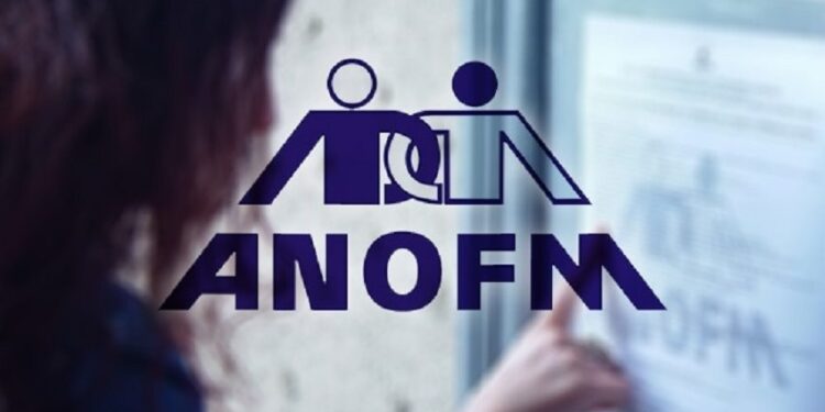 Peste 134.000 de persoane s-au angajat, în primele opt luni ale acestui an, ca urmare a implementării Programului Național de Ocupare a Forței de Muncă