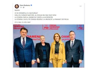 Dana Budeanu spune că Adrian Câciu și Alexandru Rafila s-au îngrășat! „Urlă în chinuri nasturii de la sacou!”