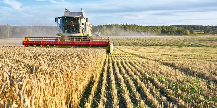 Ajutoare consistente pentru fermierii români – România capitalizează pe fondurile PAC