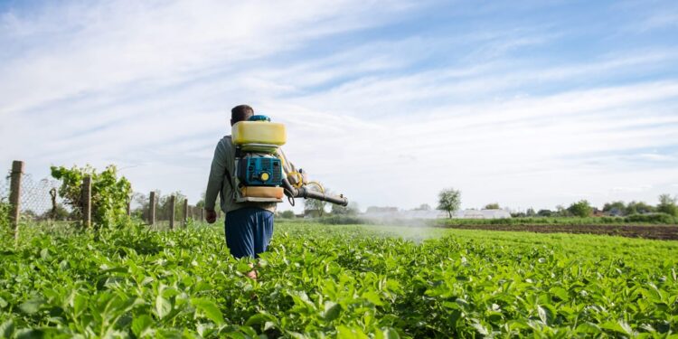 Micii fermieri câștigă subvențiile scapă de impozit, iar statul oferă un bonus de 75.000 €