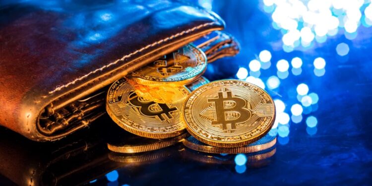 Piața cripto, din nou pe val: numărul milionarilor digitali s-a dublat în ultimele luni