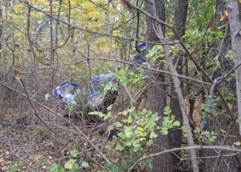 Un cunoscut milionar român implicat într un fatal accident de avion detalii despre omul de afaceri