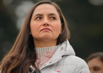 surse anamaria gavrila si a retras candidatura la prezidentiale 958854