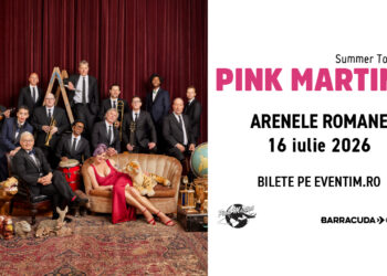 Pink Martini Banner cover